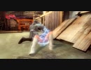 Ninja gaiden 3 razor's edge 霞 トロピカルセーラー 錬金術師　リョナ