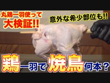 【検証】鶏一匹で何本焼き鳥できるのか__