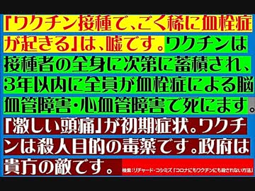 【2021年09月24日：リチャード・コシミズ  Internet 講演（ 改良版 ）】