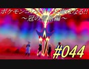 ポケモンコレクターに俺はなる‼～冠の雪原編～#044
