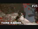 【シャドウオブザトゥームレイダー 】苦手意識が全面に出てるプレイ#25(実況動画)