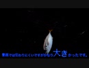 早朝の堤防で釣りデート #Vlog