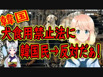 【韓国の反応】韓国の大統領候補が犬の食用禁止を代表公約に掲げた結果→それなら牛や豚も禁止にしろ！と…【世界の〇〇にゅーす】