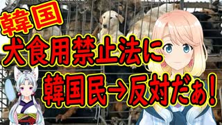 【韓国の反応】韓国の大統領候補が犬の食用禁止を代表公約に掲げた結果→それなら牛や豚も禁止にしろ！と…【世界の〇〇にゅーす】