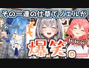 自分の胸とノエルの胸を比較したら爆笑されたすいせい