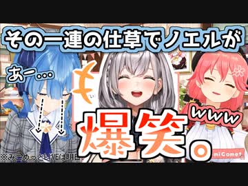 自分の胸とノエルの胸を比較したら爆笑されたすいせい