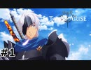 #1.この痛みは、君の心に触れたから【TALES of ARISE】(畑)