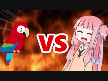 茜ちゃんVSインコ