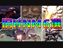 【FF11】ギルで殴り合え！旧ＨＮＭ６種オワコンデスマッチ！