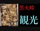 【解説】【Total War:WARHAMMER Ⅱ】黒火峠観光ツアー＃１【夜のお兄ちゃん実況】