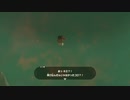 ユン坊を火山の火口に落としてみた