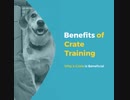 Benefits of Crate Training_ Why a Crate Is Beneficial to You and Your Dog