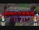 【ゆっくり解説】ぶっ飛びすぎな動物の交尾事情