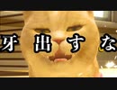 【猫】おい！！生きてるか！！？？「with My CAT - 猫とくらそう -」【ゲーム実況】