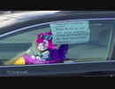 buro in car