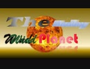 The Medley Wind Planet