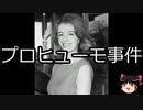 【ゆっくり朗読】ゆっくりさんと世界事件簿 その146