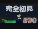 【女性実況】友人と大学最後の夏休みをエンジョイ#30(終)【terraria テラリア】