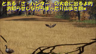 （お知らせ？しながら見回り回）変態忍者の、有害鳥獣駆除従事活動記・その１７４