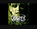 Carnifex - The Diseased and the Poisoned