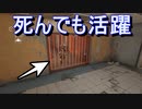 【R6S】死んでも仲間に貢献できるR6S[愉快なメンツとYYプレイ]