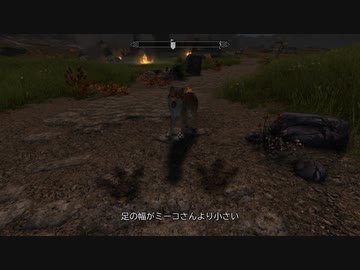 【初見】ＳｋｙｒｉｍＳＥ　遊んでみる別枠「Skyrim生活あれやこれや」