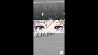 【ウマ】ヴァルゴ杯決勝
