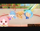 【実況】2021/9/25【ネコトモ　スマイルましまし】