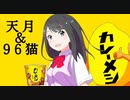 【天月＆96猫】華麗なるカレーメシ十原則　過去のカレーメシCMから作りました