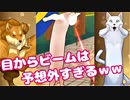 【大爆笑】個性豊かすぎる動物達の格闘ゲームｗｗｗ『Fight of Animals（ファイト オブ アニマルズ）』