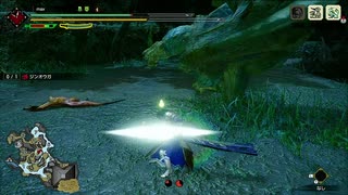 【MHRise】第3回非公式狩猟大会 太刀部門 2'39"47