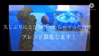 【とび森】フレンド募集！ 1