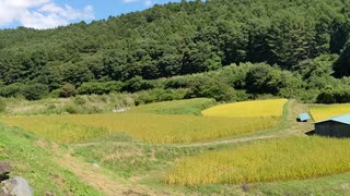 [旅行][棚09秋] 小諸市　宇坪入の棚田