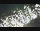 無条件の波動４２４　～愛の波動を感じて～