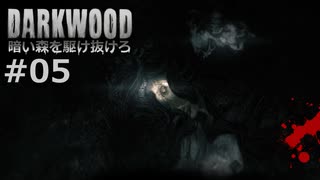 #05【Darkwood】暗い森を駆け抜けろ｜4日目を乗り切ろう【実況】