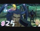【FF10】ファイナルファンタジーXを初見実況してやんよ！　part25【final fantasy X】
