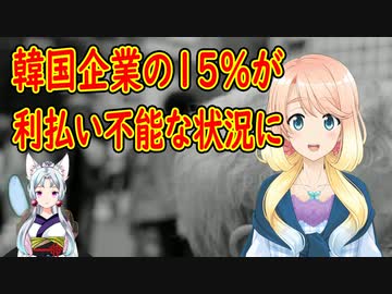 韓国企業の15％が借入の利払いが出来ない事態に突入！【世界の〇〇にゅーす】