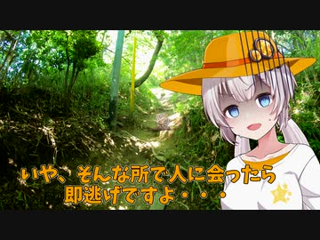 気晴らしのぽけっと旅　あかりと葛城山と車載主登山