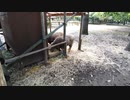 ひつじさんに会いに行くだけ