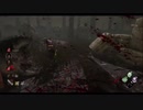 【DBD】このステージで必ずサバイバーはここにいます。【デッドバイデイライト】