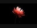 ENDER LILIESを嗜む part12