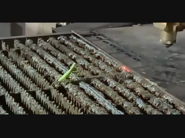 ホモと見る刃牙と戦ったカマキリ