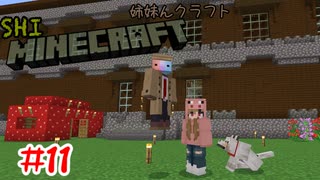 【マイクラ】 地図埋めパトロール散歩【姉妹Minecraft】#11