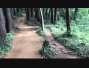 【野外】多峰主山から下山する前半