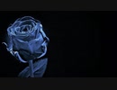 Beautiful Lie
