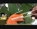 【ゆっくり実況】富山のます寿司を食べた【Google翻訳】