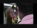 三冠馬脅迫！シルバーコレクターたちの逆襲.WP9