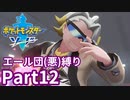 ポケモン剣ではエール団(悪)のポケモン縛りでやっていくPart12