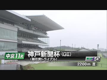 【ウマ娘風】第69回GⅡ神戸新聞杯(2021)