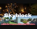 【２０２１年版】skyblockを今から始める人のための動画